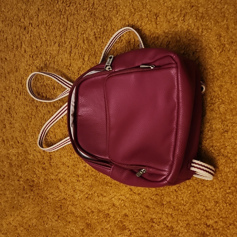 Small 31 pack back purse